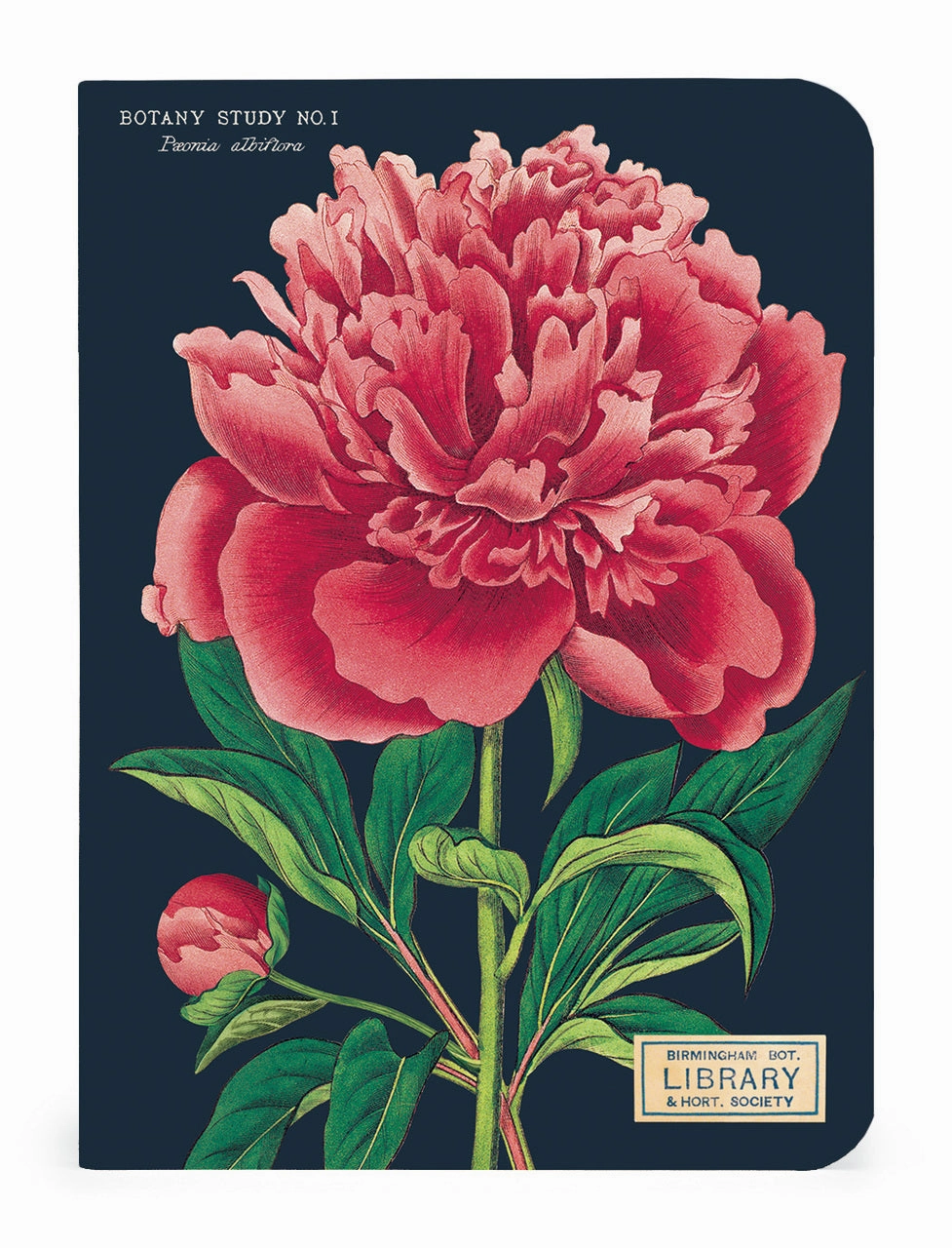 seasonal bright Cavallini & Co. Botany Mini Notebook Set