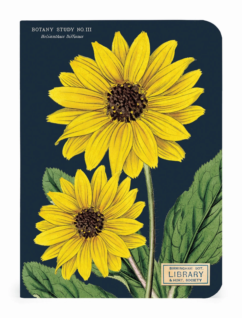 Cavallini & Co. Botany Mini Notebook Set cotton multipurpose