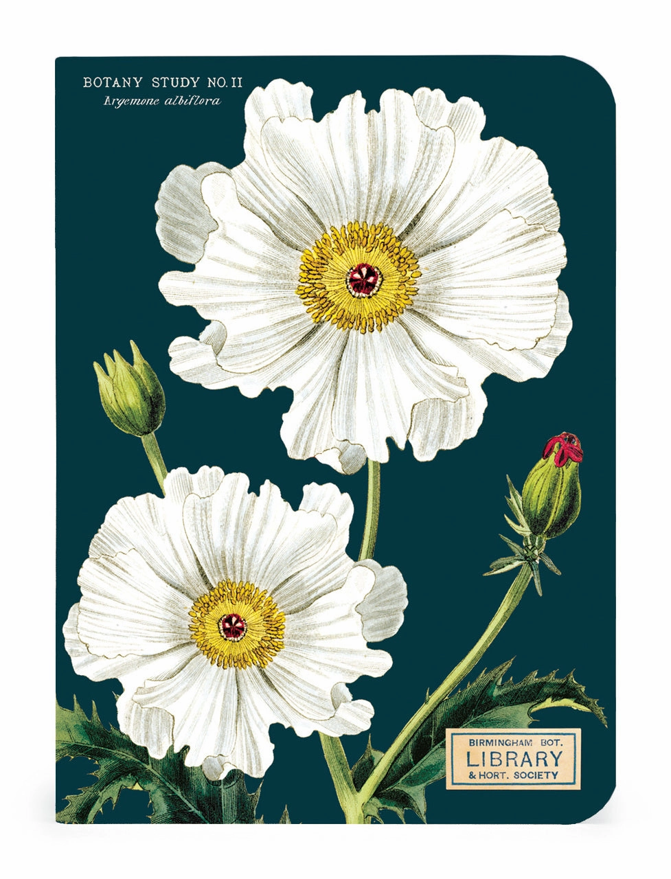 Cavallini & Co. Botany Mini Notebook Set flexible collectible