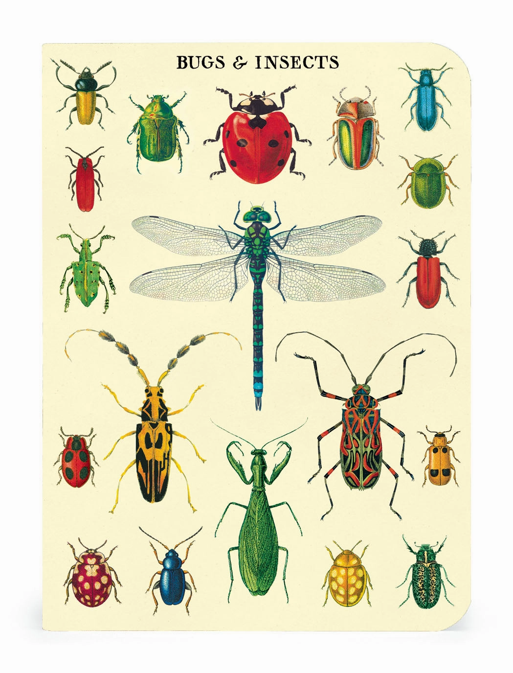 Cavallini & Co. Bugs & Insects Mini Notebook Set linen paper