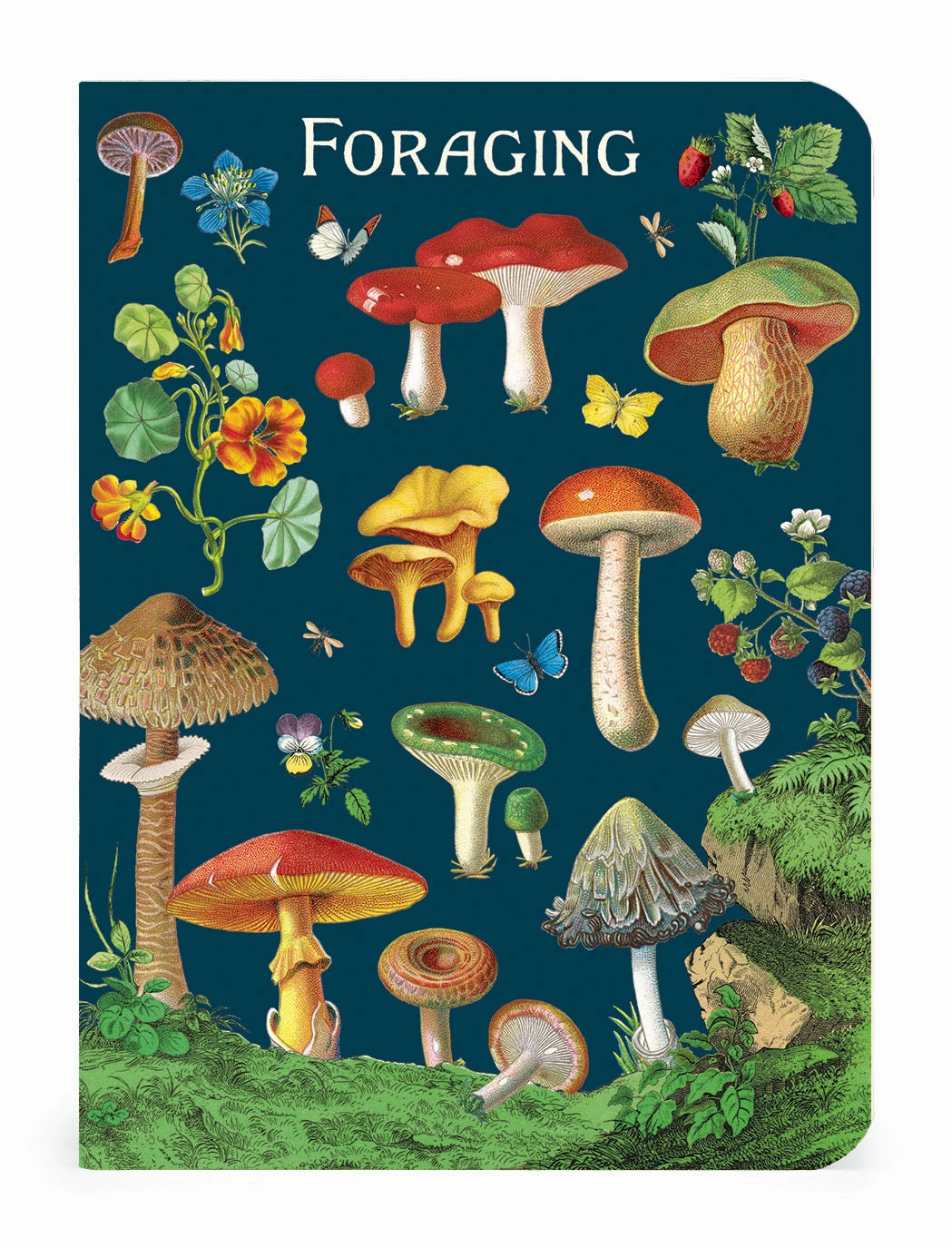 sleek Cavallini & Co. Foraging Mini Notebook Set