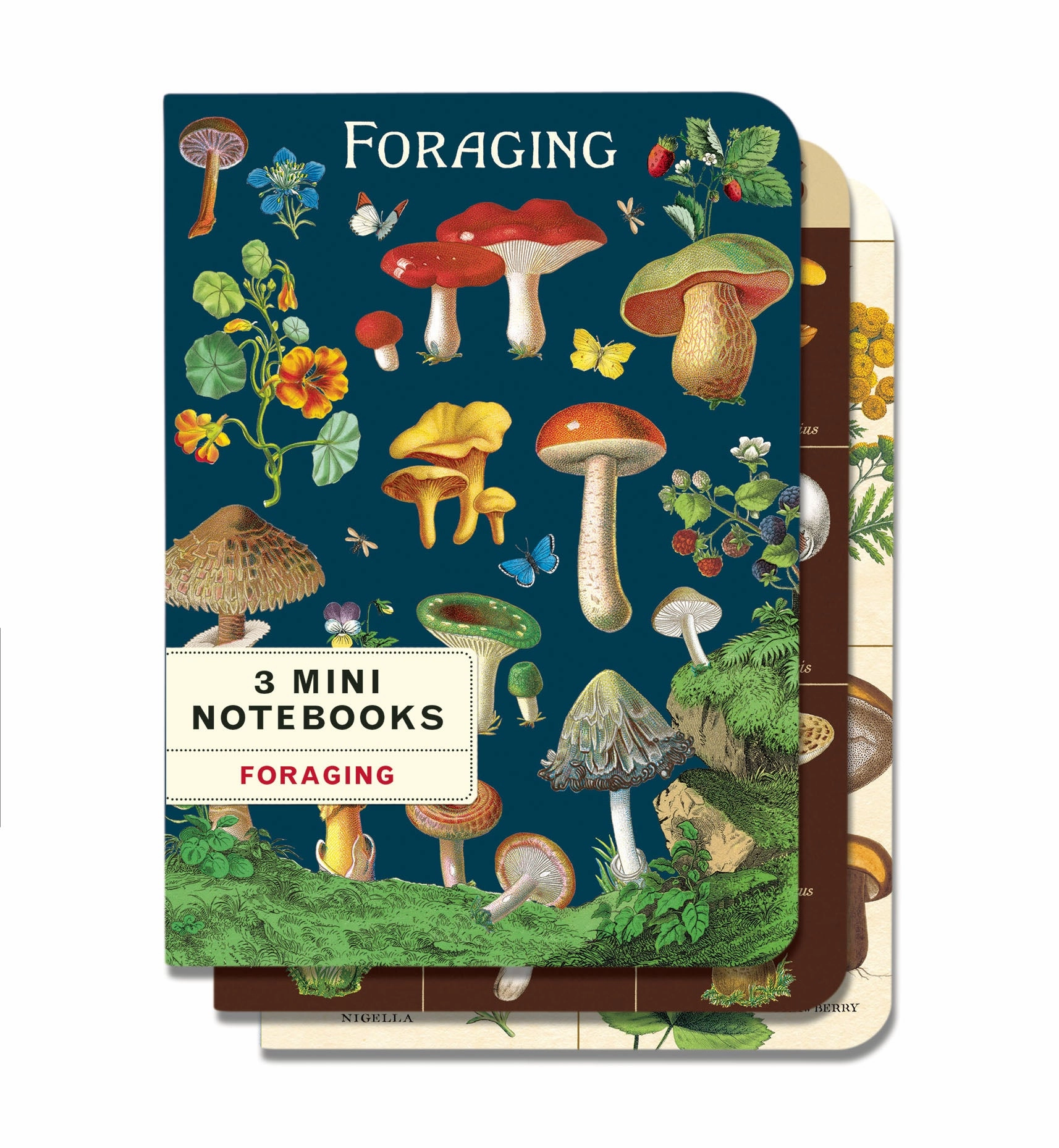 retro refined Cavallini & Co. Foraging Mini Notebook Set