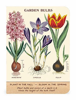 Cavallini & Co. Gardening Mini Notebook Set refined