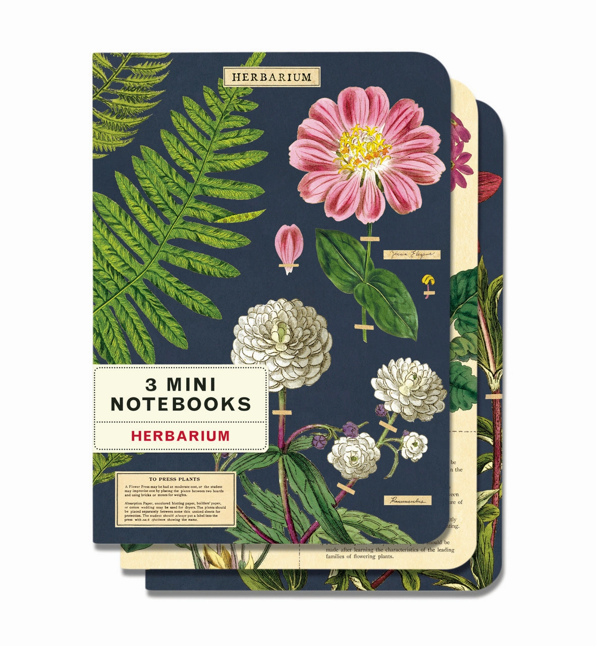 ergonomic everyday Cavallini & Co. Herbarium Mini Notebook Set