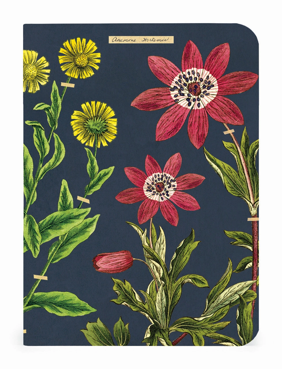 Cavallini & Co. Herbarium Mini Notebook Set muted