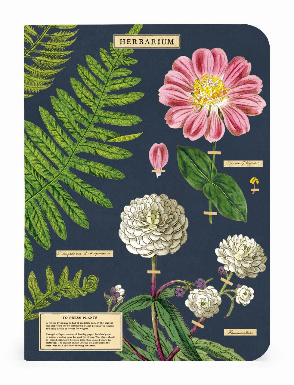 Cavallini & Co. Herbarium Mini Notebook Set vintage set