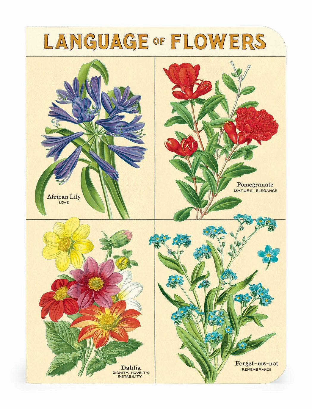 lasting Cavallini & Co. Language Of Flowers Mini Notebook Set