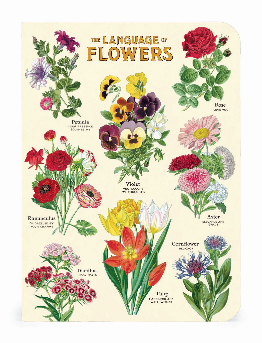 Cavallini & Co. Language Of Flowers Mini Notebook Set finest