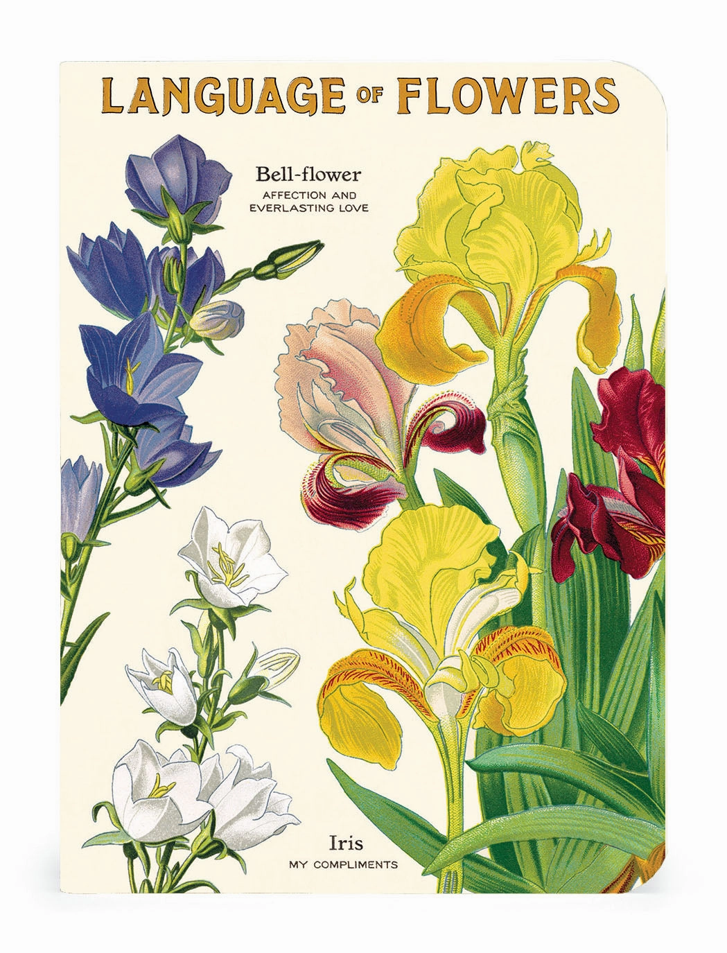 Cavallini & Co. Language Of Flowers Mini Notebook Set thin