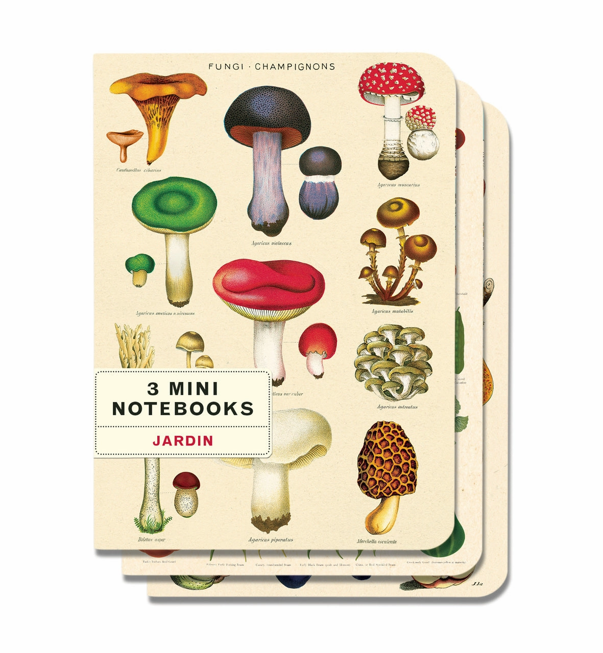 tiny Cavallini & Co. Le Jardin Mini Notebook Set