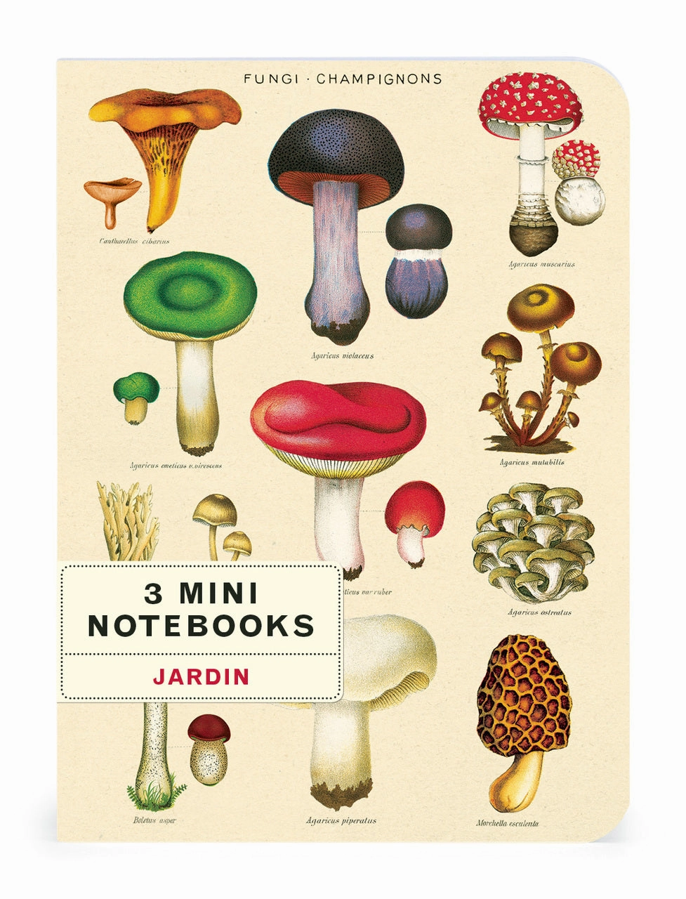 Cavallini & Co. Le Jardin Mini Notebook Set lasting single