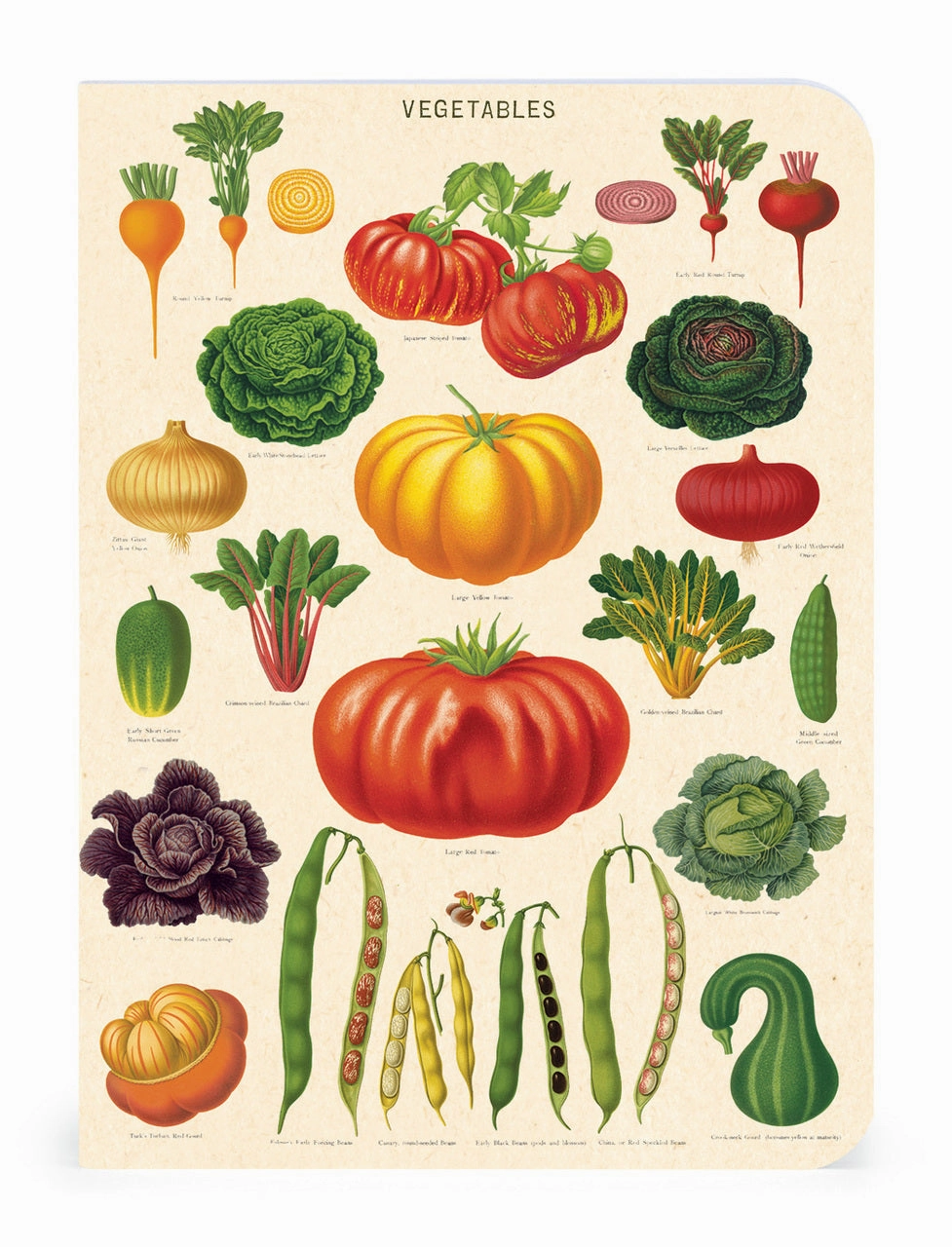 Cavallini & Co. Le Jardin Mini Notebook Set wrapped