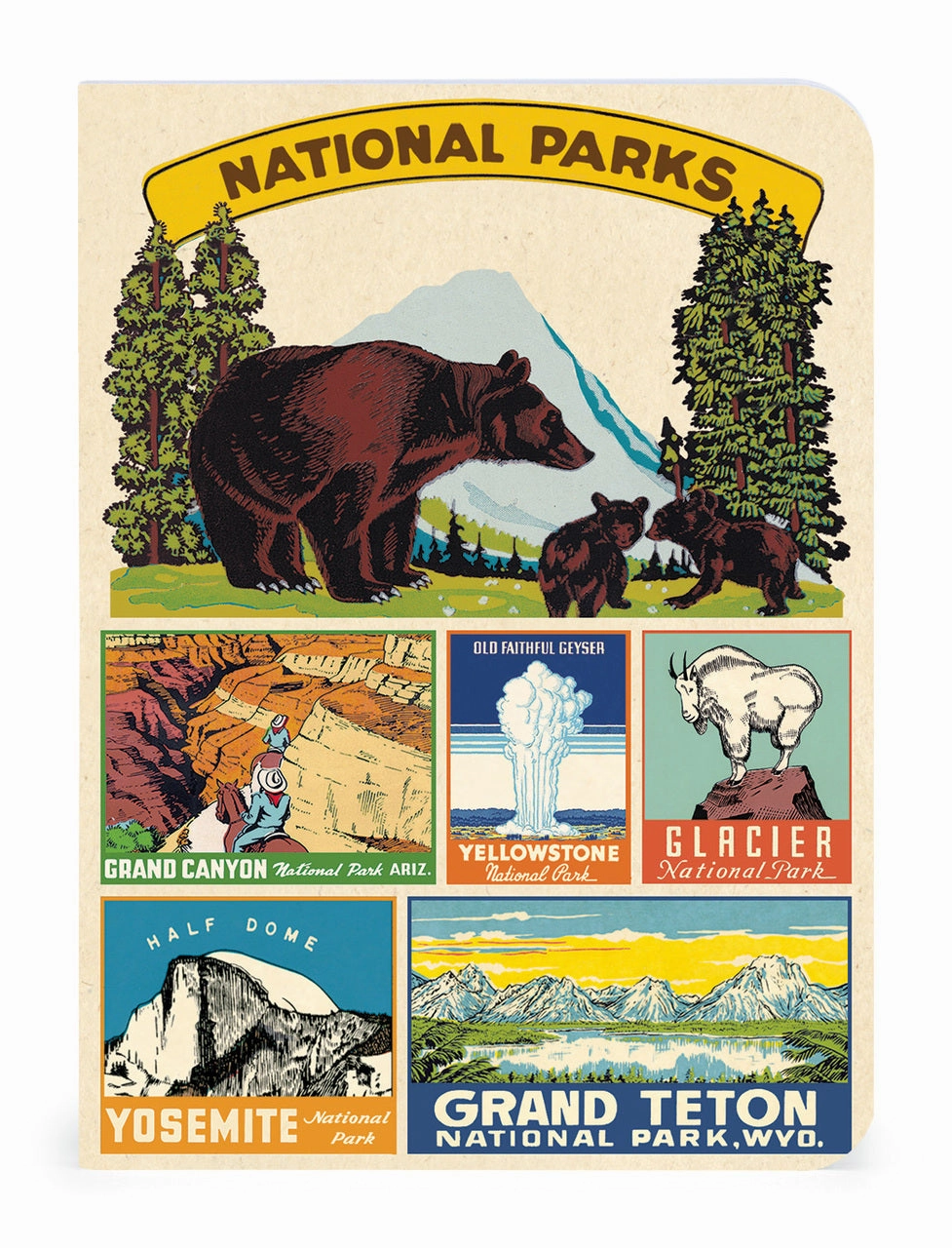 original vintage Cavallini & Co. National Parks Mini Notebook Set