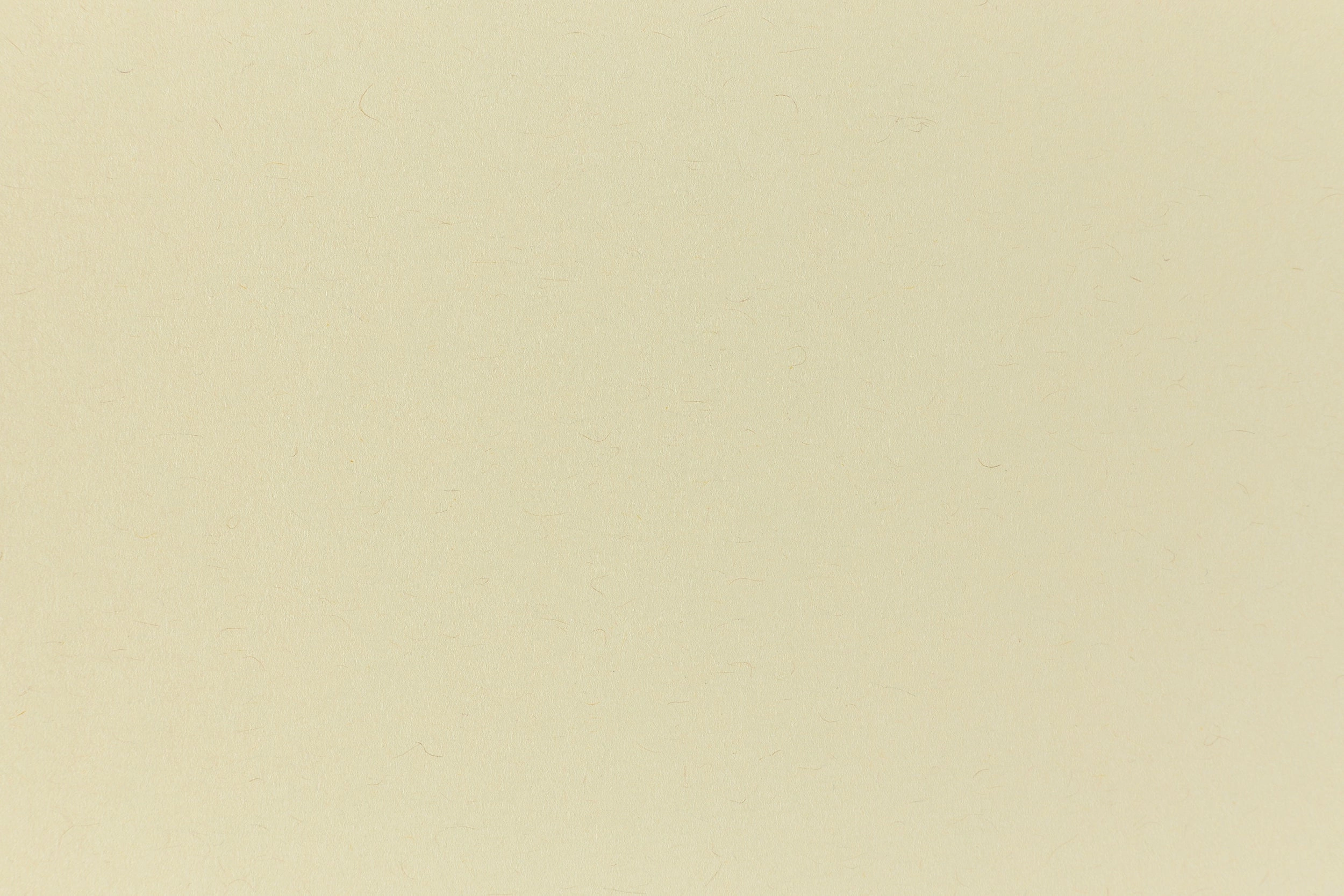musthave everyday Cement Green Cardstock (Construction, Cover Weight Stephanie X French Giveaway Edition)