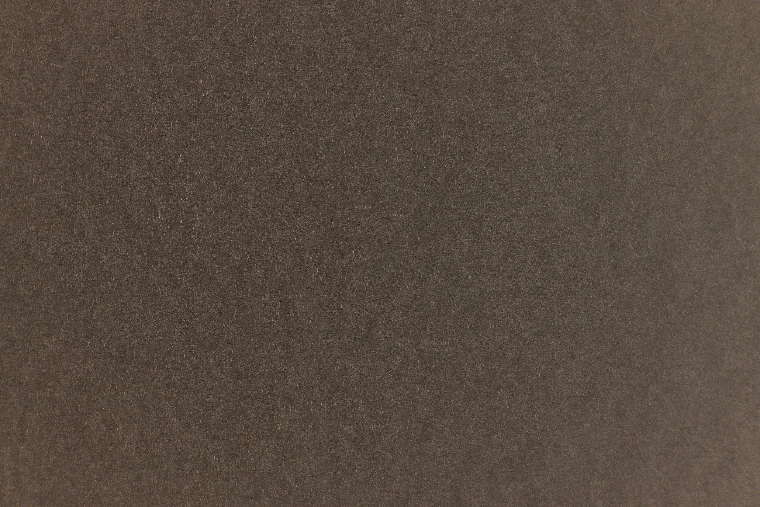 refined Charcoal Brown Cardstock (Construction, Cover Weight)