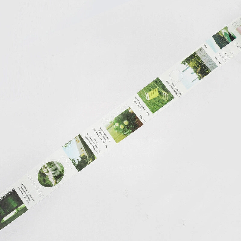 Color City Green Washi Tape thin