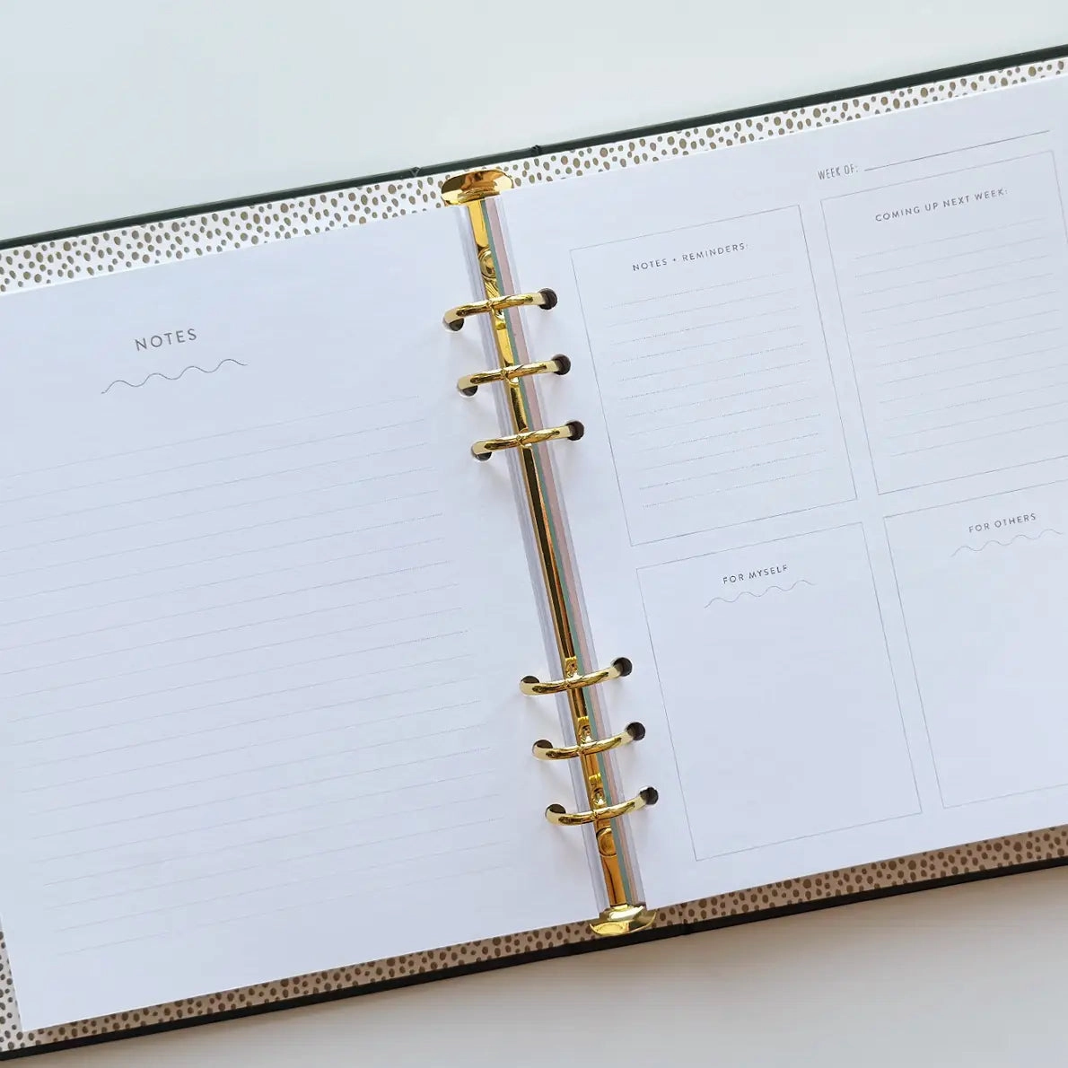 Great Year Undated Perpetual Planner musthave eco