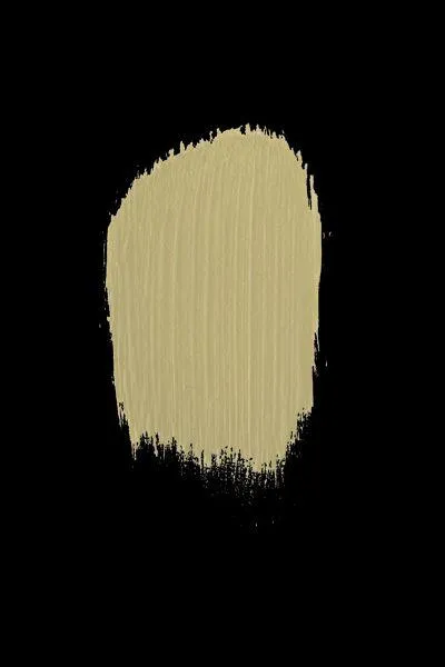 superior steel Colour - Pistachio Paint