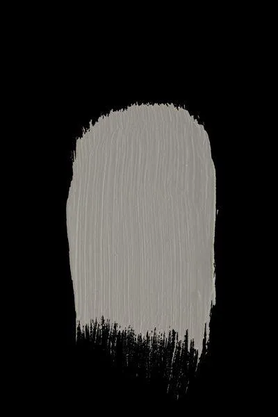 Colour - Rock Gray Paint limited
