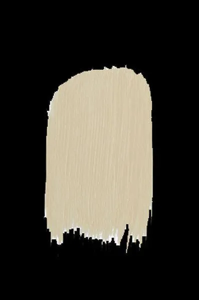 Colour - Wheat Paint square