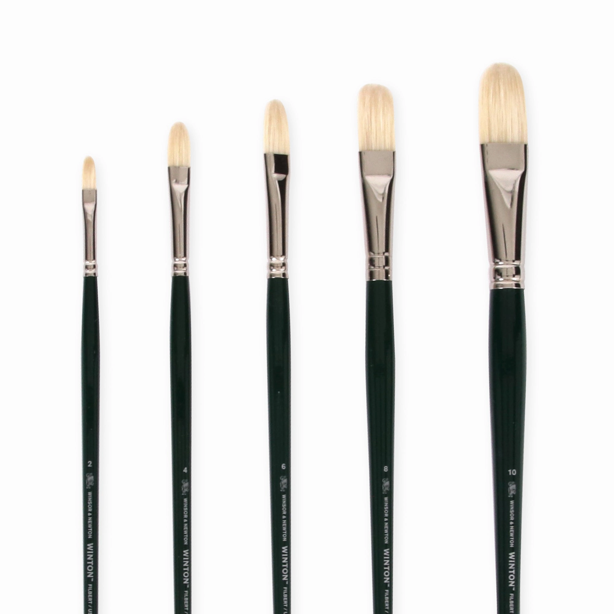 Winton Filbert Hog Hair Paintbrush deluxe