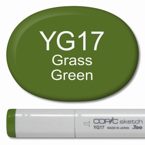 Copic Sketch Marker - Yg17 Grass Green leather bamboo