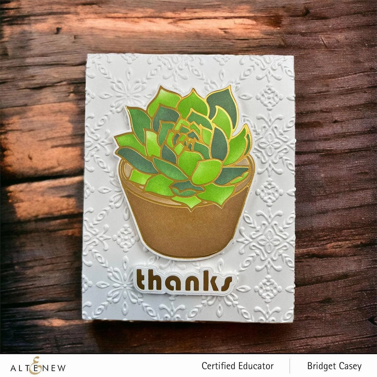 Spark Joy: Potted Succulent Add-On Die Set portable