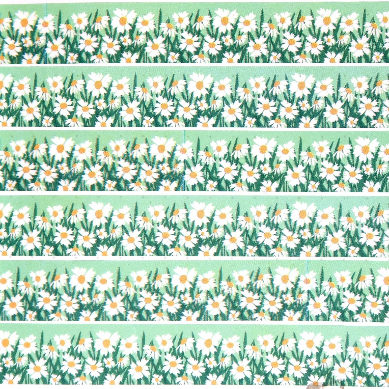 Daisies Border Washi Tape bronze