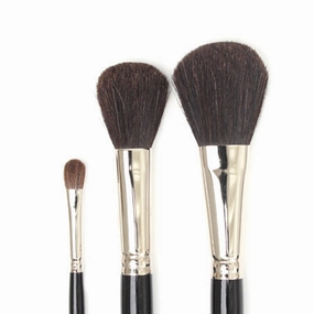 Deserres Wash Drawing Paintbrush manual