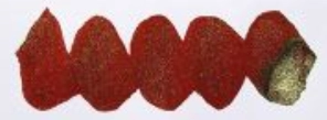 earthy Diamine Bottled Ink 50Ml Chameleon Spiced Apple
