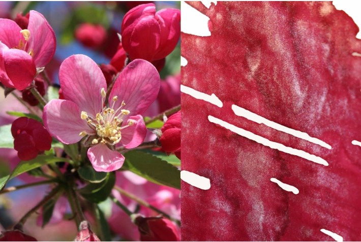 valuable wholesale Dominant Industry Pearl Ink 25Ml - Apple Blossom
