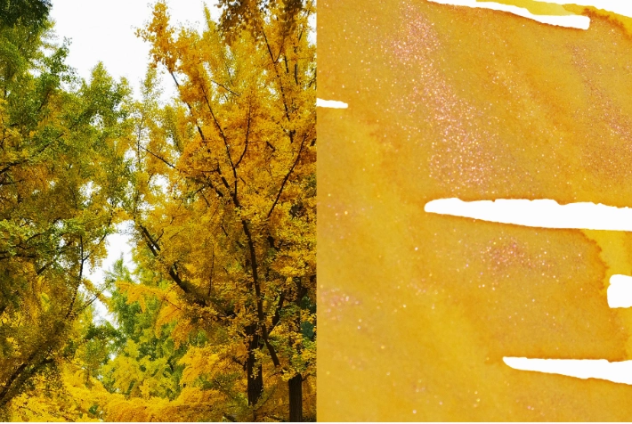 daily classic Dominant Industry Pearl Ink 25Ml - October Leaves
