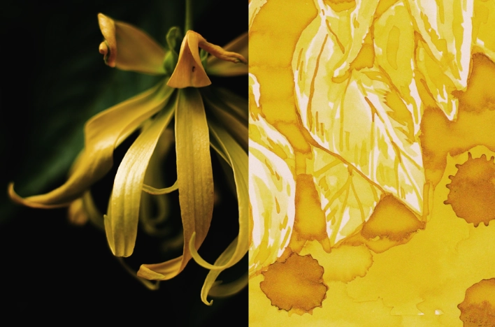 narrow new Dominant Industry Scented Ink 25Ml - Ylang Ylang