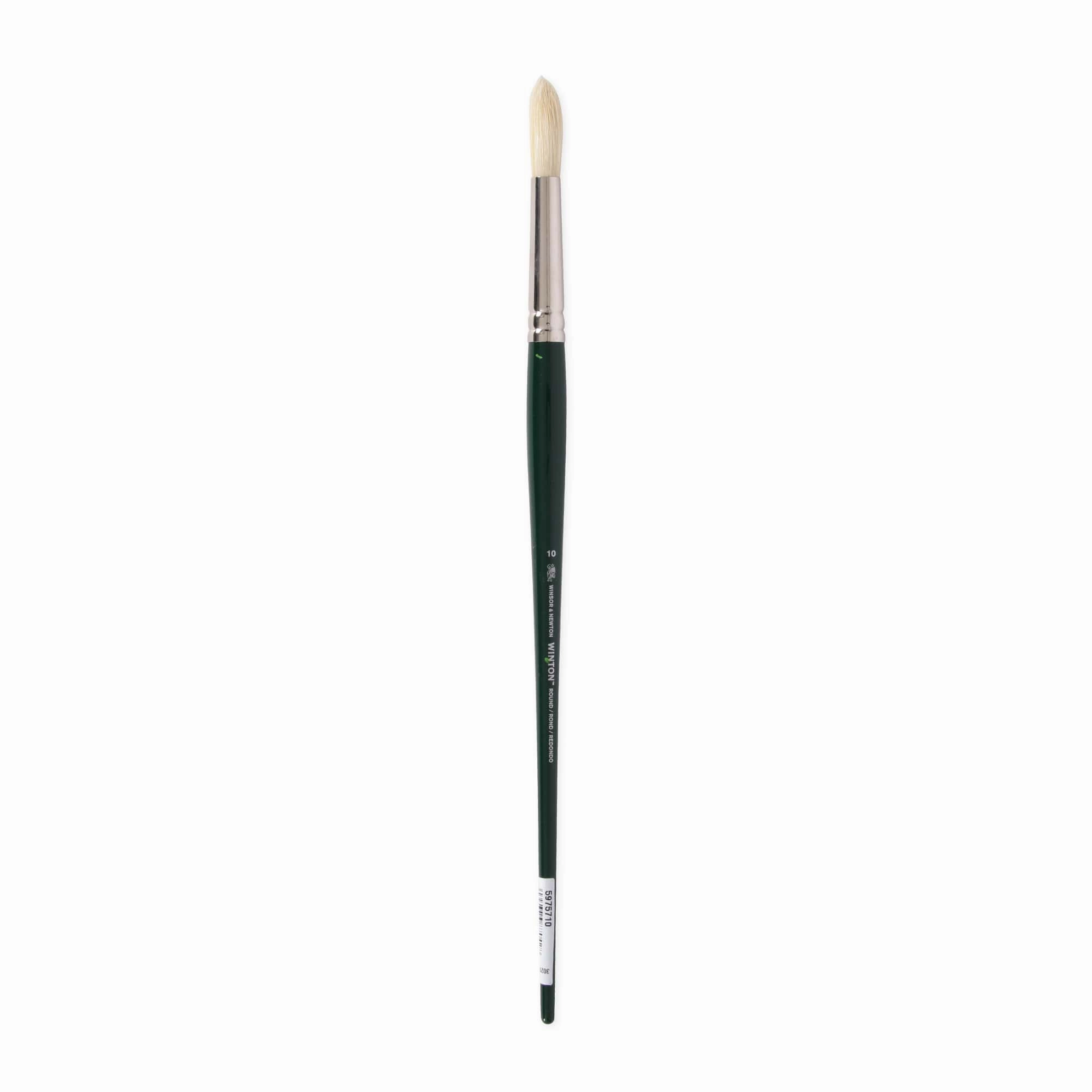 Hog Hair Round Paintbrush bold plastic