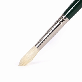 Hog Hair Round Paintbrush special
