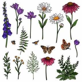 Wildflowers - 6X8 Stamp Set set