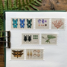 antislip Specimen Drawer Stamp Washi Tape