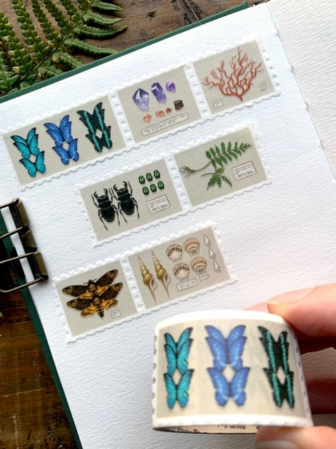ceramic superior Specimen Drawer Stamp Washi Tape