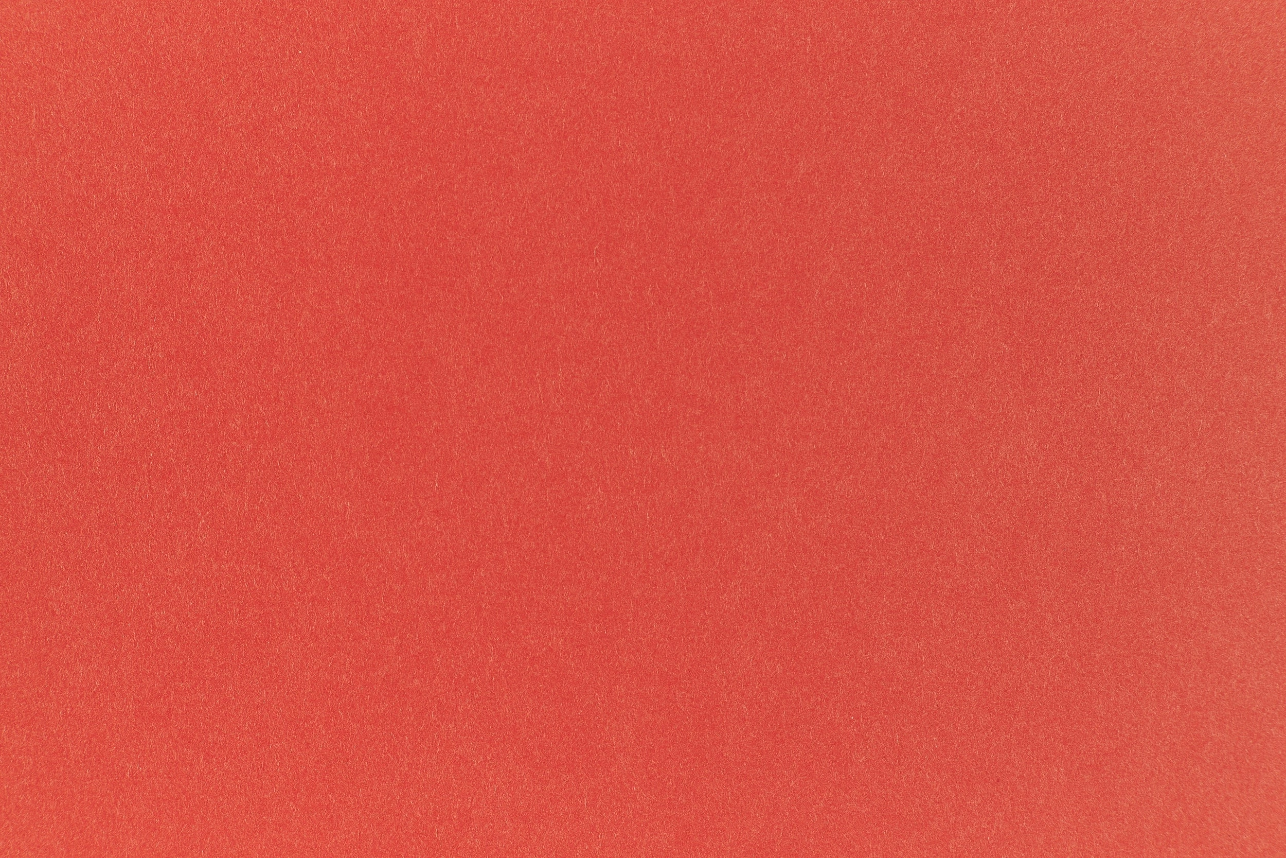 basic Tangy Orange Cardstock (Pop-Tone, Cover Weight)