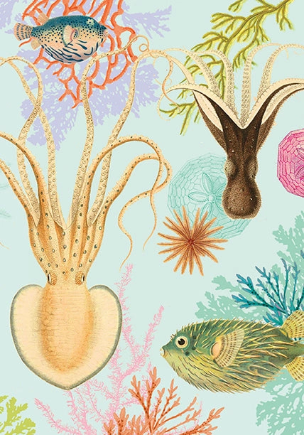 Art Of Nature: Under The Sea Sewn Notebook Collection (Set Of 3) compact sturdy