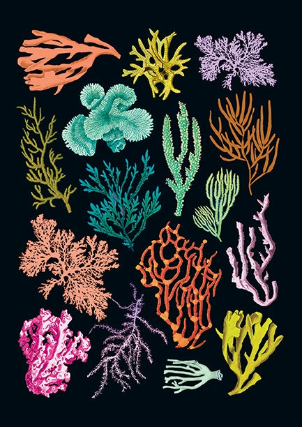 original Art Of Nature: Under The Sea Sewn Notebook Collection (Set Of 3)