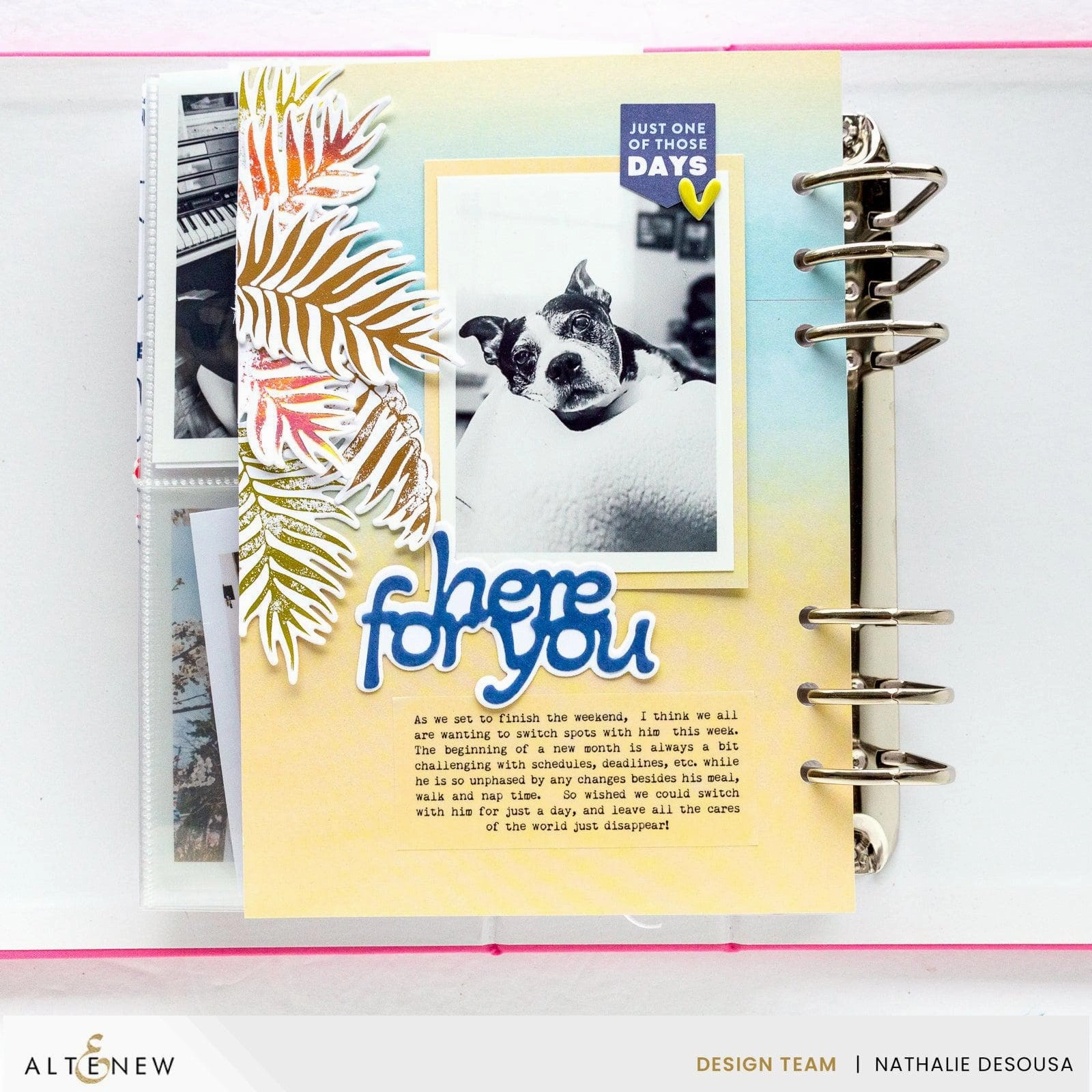 Sweet Expressions Die Set glass heatproof