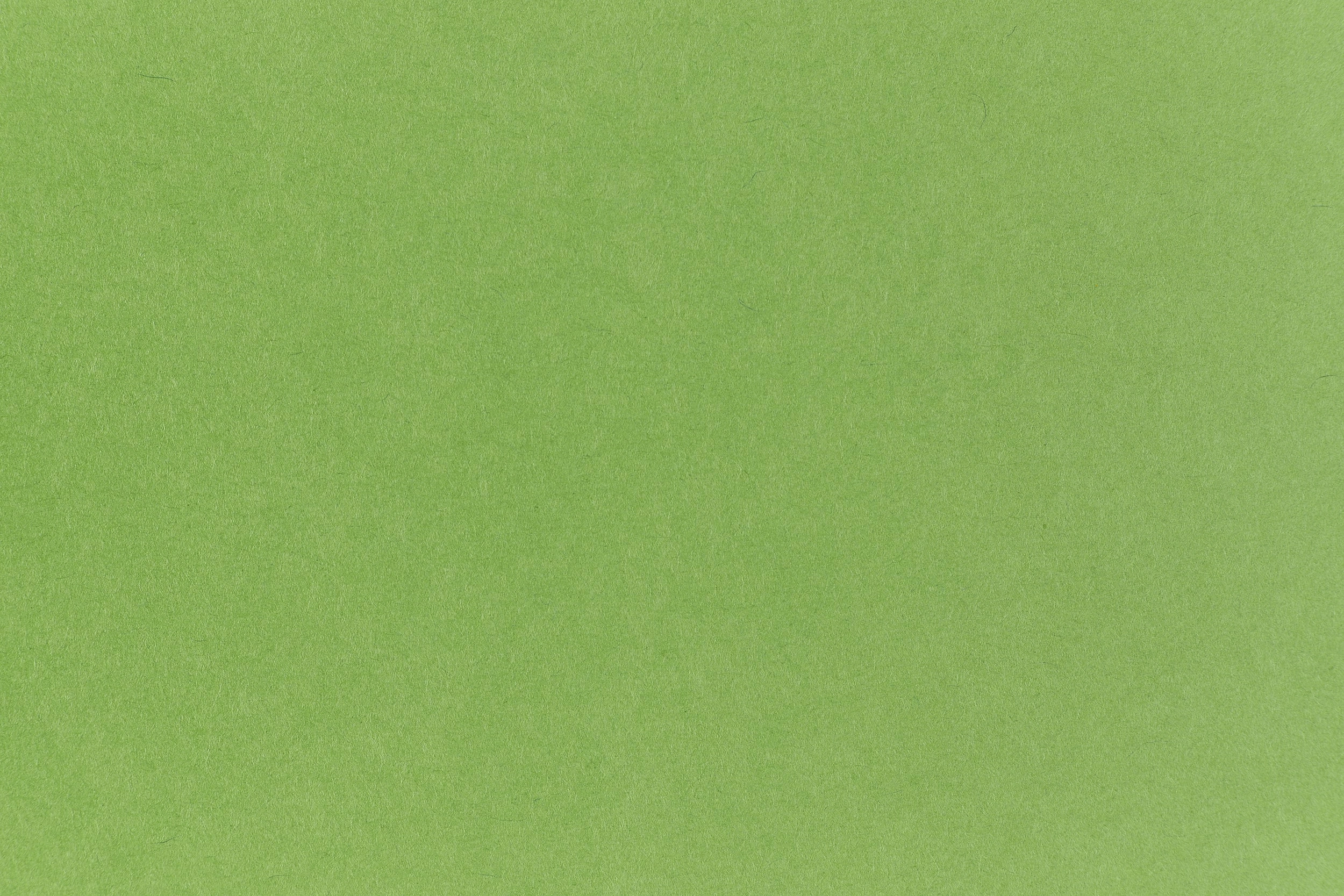basic Gumdrop Green Cardstock (Pop-Tone, Cover Weight)