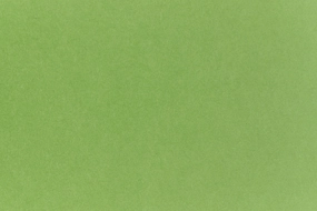 basic Gumdrop Green Cardstock (Pop-Tone, Cover Weight)