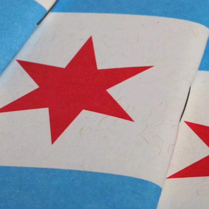 Field Notes Chicago Flag Edition Memo Notebook (Set Of 3) collapsible