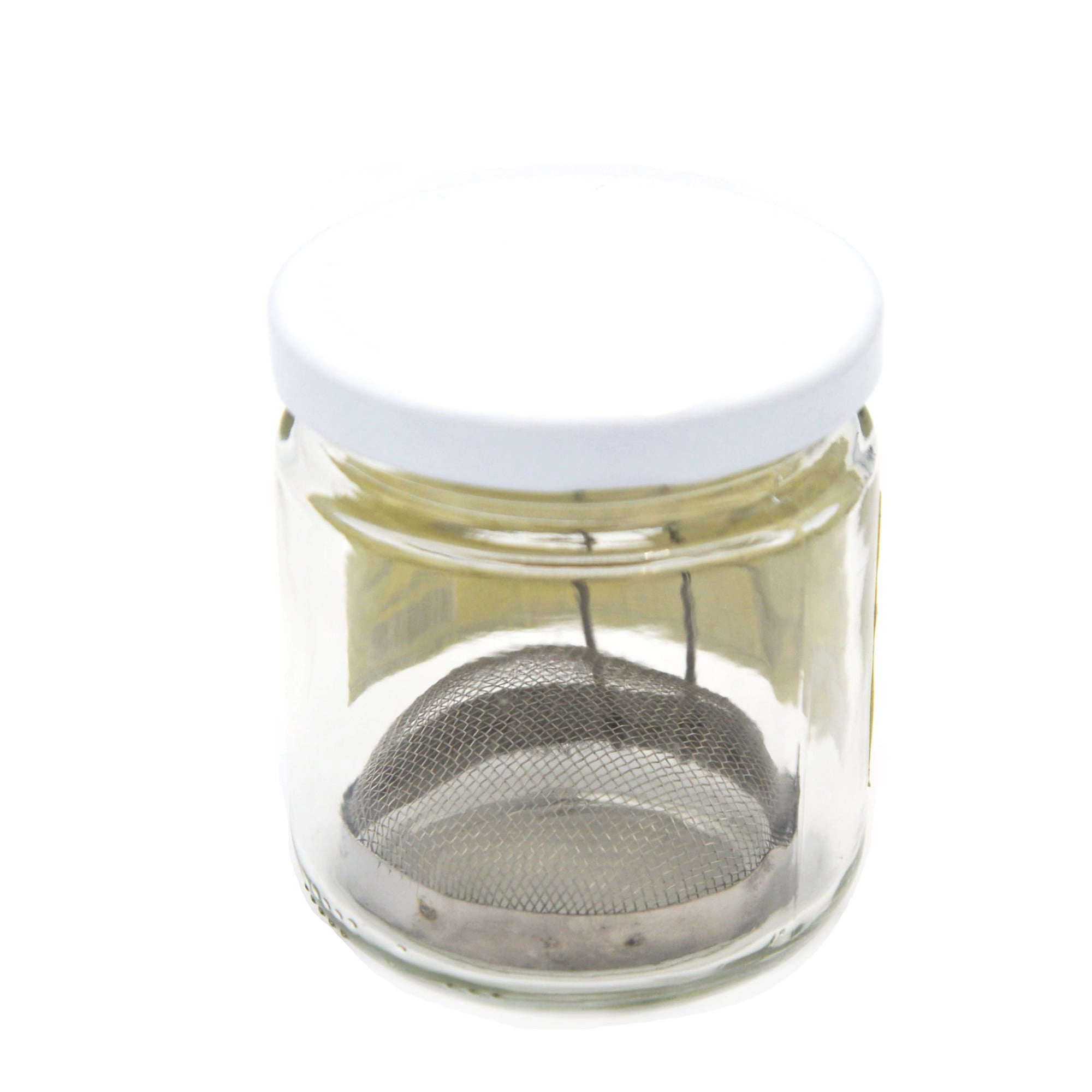 Glass Brush Washer  Large Jar new organic