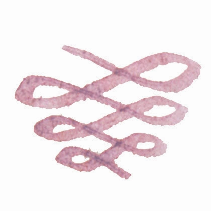 Sailor Manyo Ink - Azuki 50Ml foldable