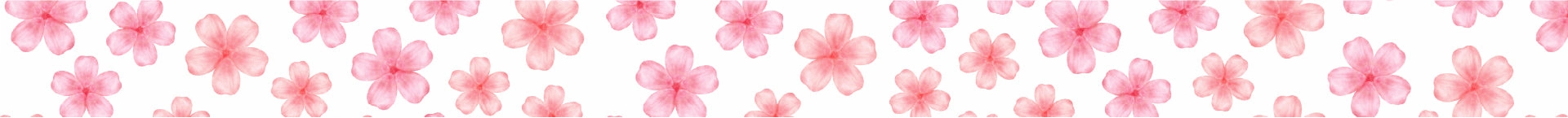 Mt Ex Washi Tape - Sakura large limited