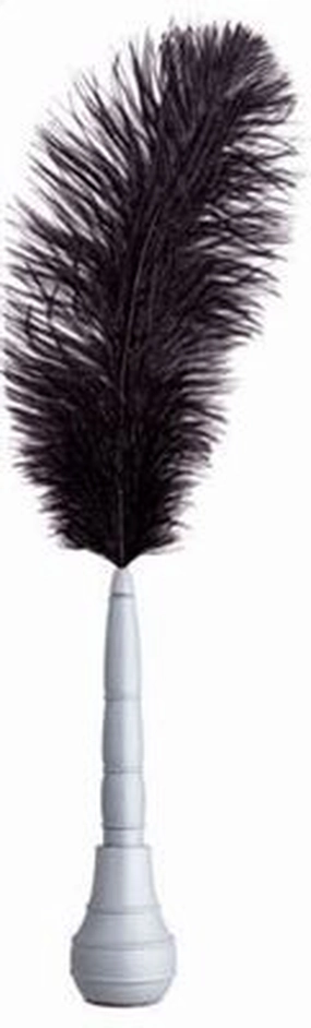 rubber Taccia Shakespearean Black Silver Quill Pen