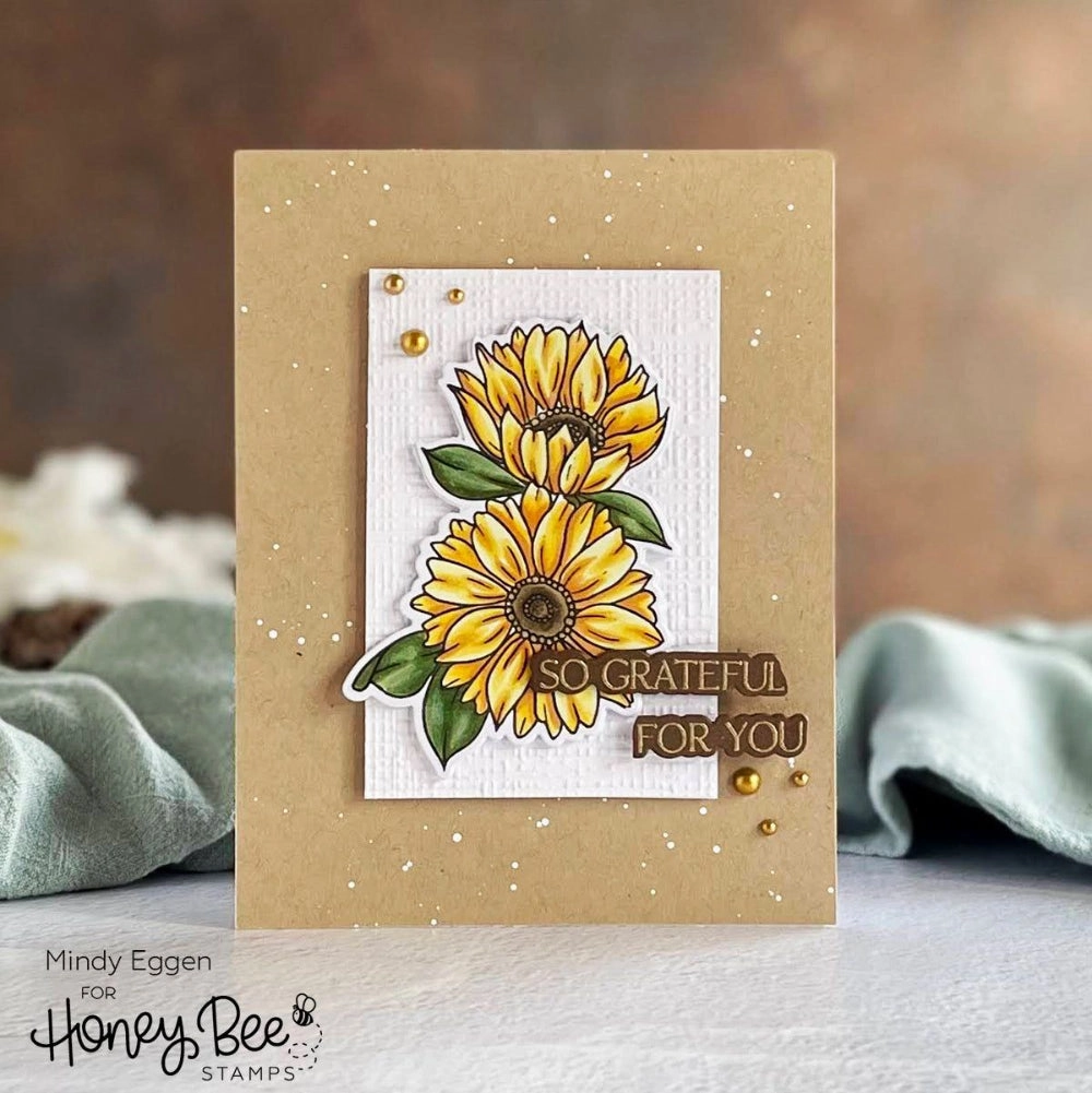 Grateful Gatherings - 6X8 Stamp Set quality